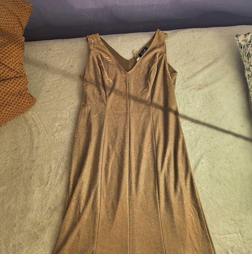 Gold Shimmer Nude Maxi Party Dress
